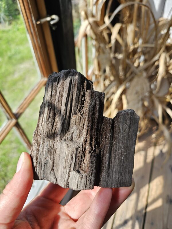 Forstenet Træ rå #1
