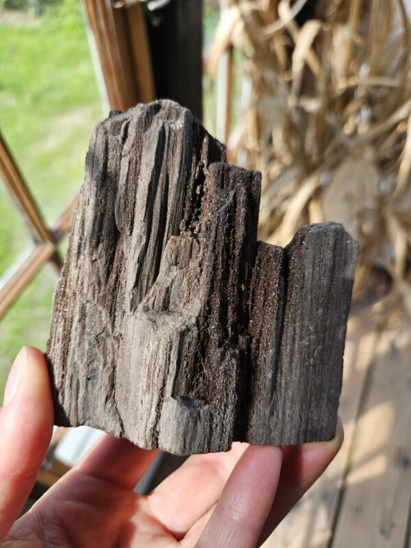 Rå forstenet træ, unik og naturnær, med smukke detaljer og en jordnær energi. Hjælper med at styrke ro, stabilitet og forbindelse til naturen.