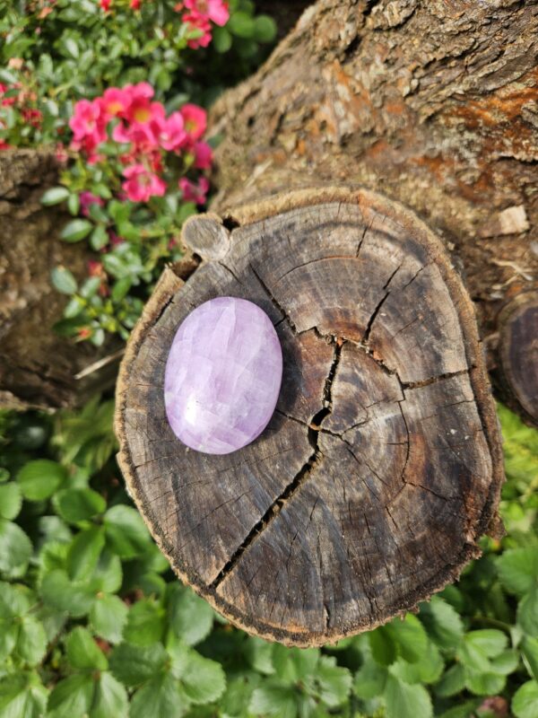 Poleret kunzit palmstone, med blide lyserøde nuancer, fremmer kærlighed, selvkærlighed og indre fred. Perfekt til at åbne hjertechakraet og tiltrække positiv energi.