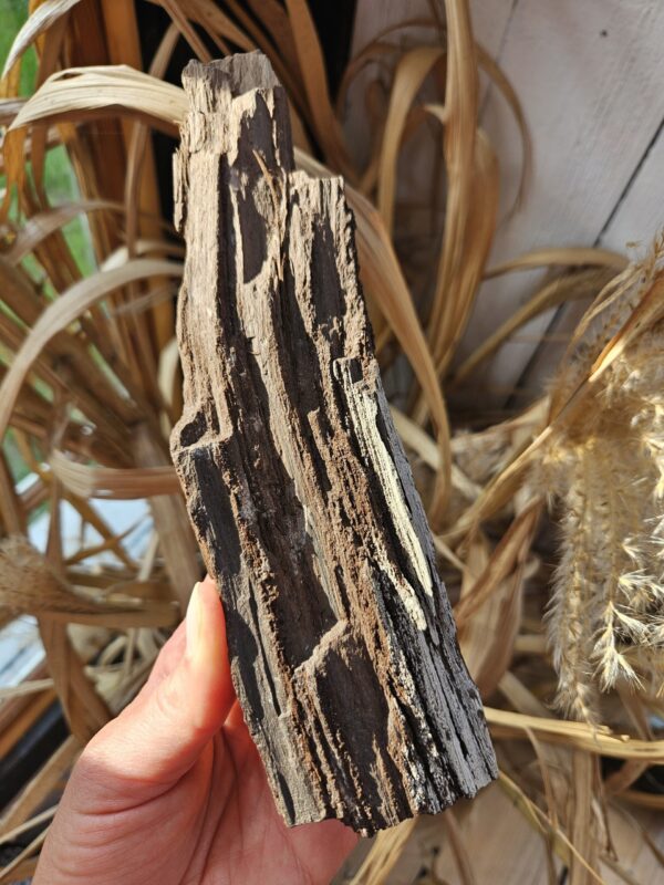 Rå forstenet træ, unik og naturnær, med smukke detaljer og en jordnær energi. Hjælper med at styrke ro, stabilitet og forbindelse til naturen.