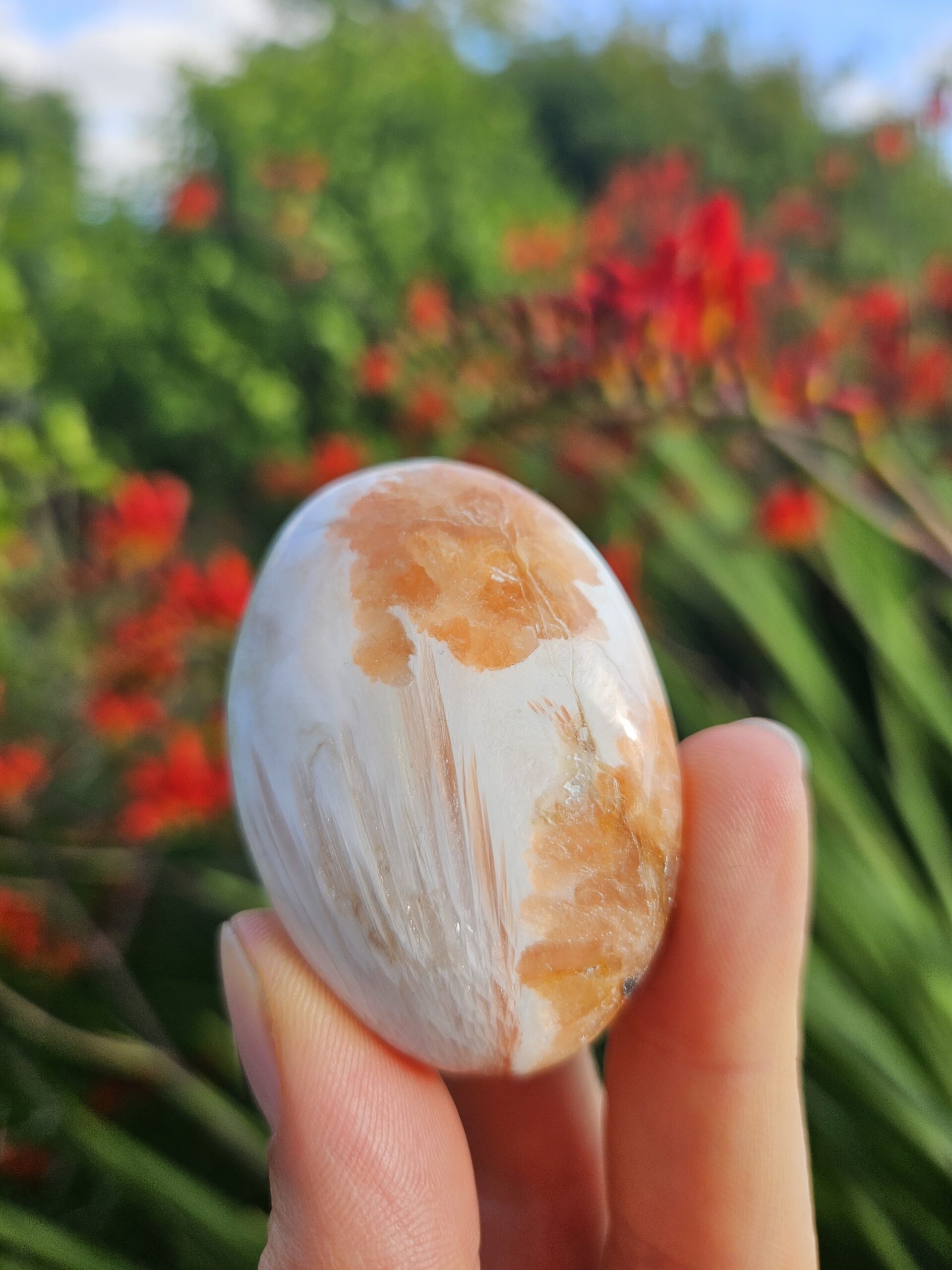 Poleret pink scolesit med stilbit som palmstone, kendt for sin beroligende energi, der fremmer følelsesmæssig balance og lindrer stress. Perfekt til meditation og indre ro.