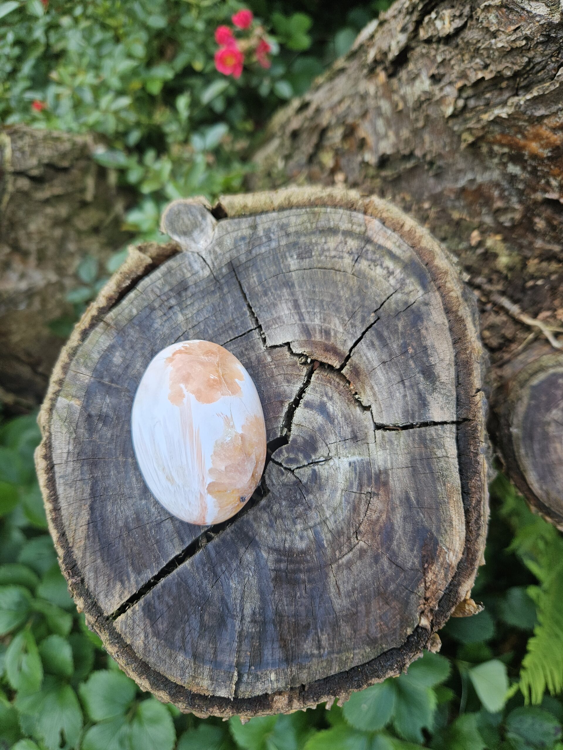 Pink Scolesit med Stilbit palmstone #3