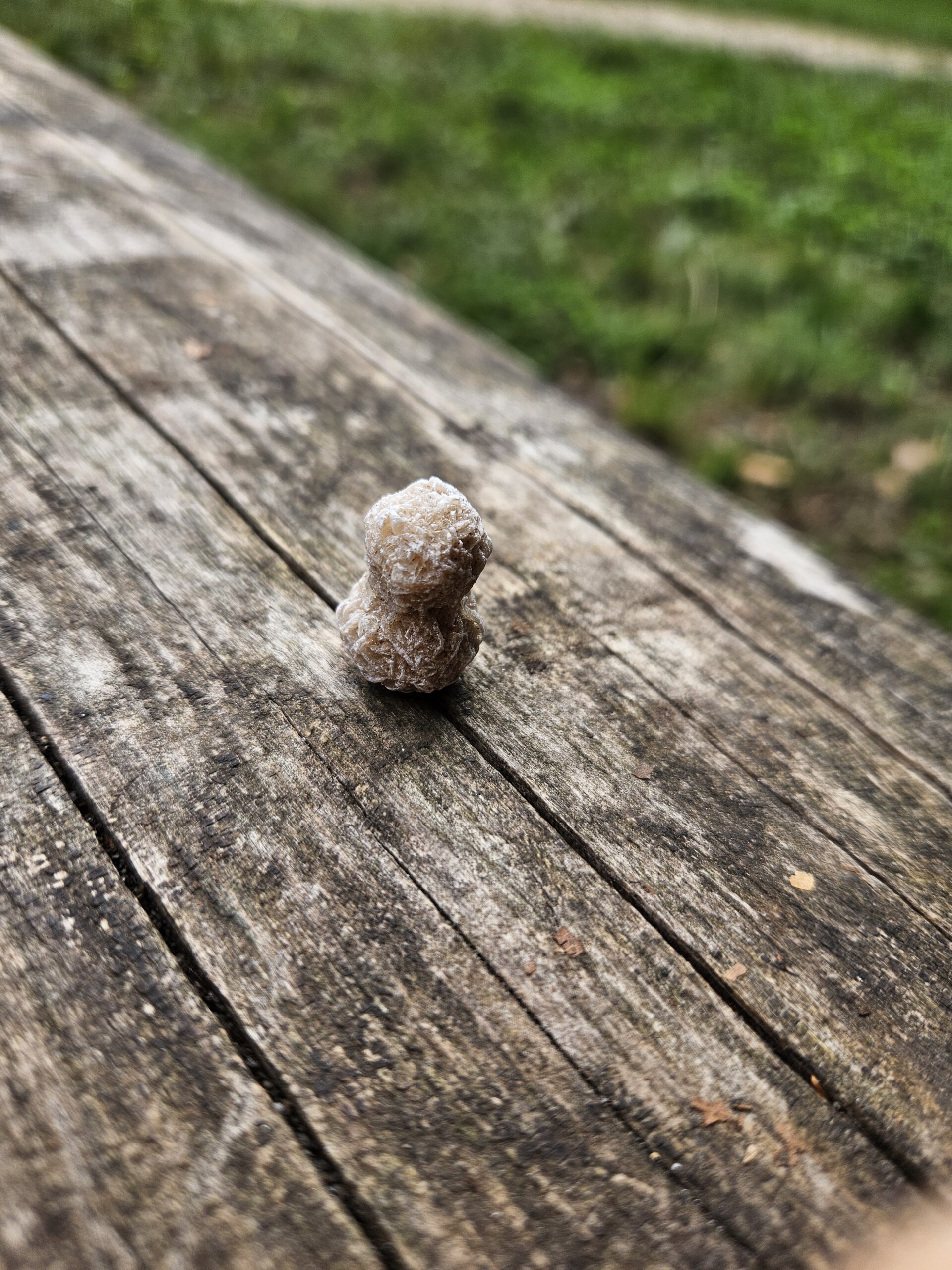 Ørkenrose lommesten