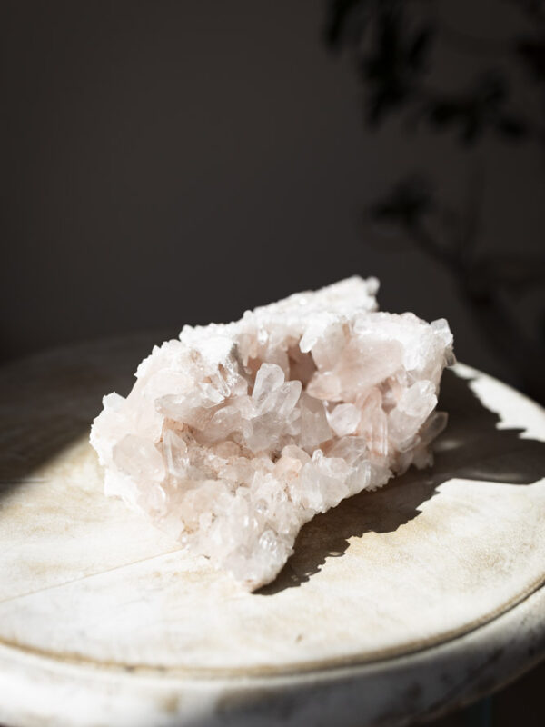 Pink Himalaya klynge