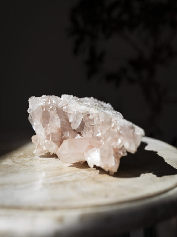 Pink Himalaya klynge