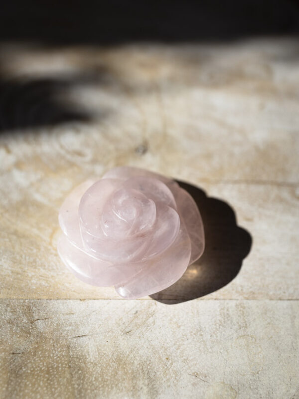 Rosakvarts rose
