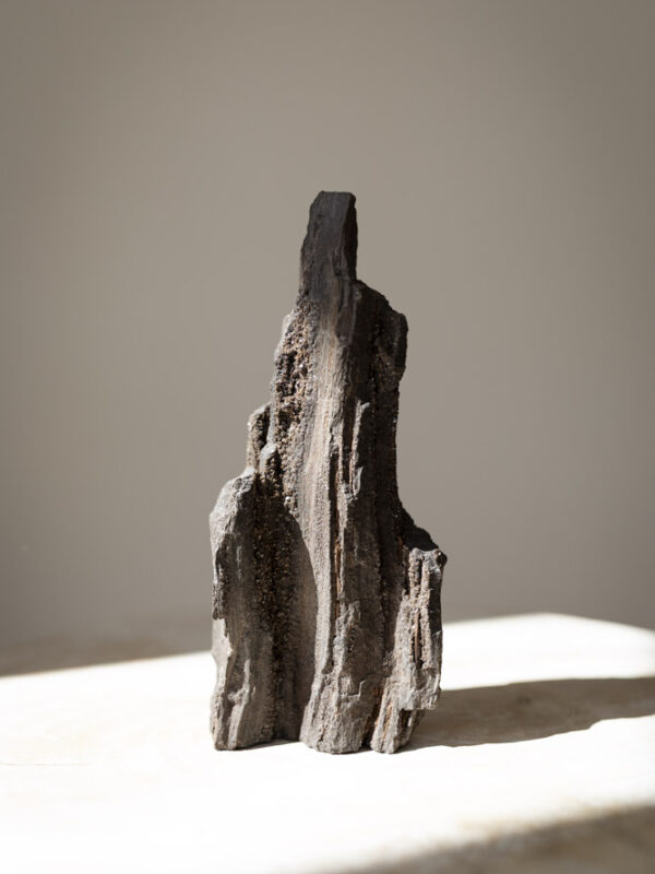 Forstenet træ med jordnære brune og gyldne nuancer - en krystal for grounding, stabilitet og indre styrke