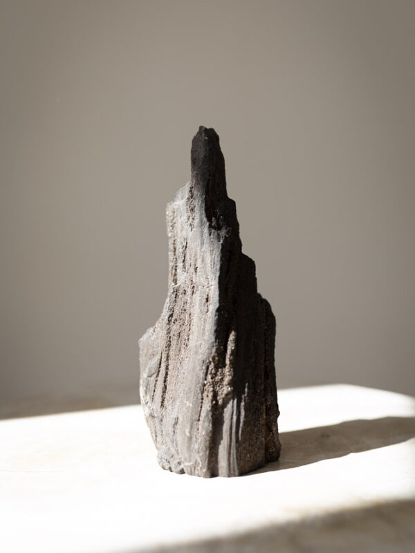 Forstenet Træ rå #3