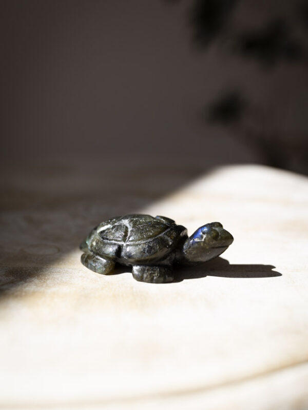 Skildpadde i labradorit krystal med smukt farvespil. Denne krystal støtter transformation, beskytter mod negativ energi og fremmer intuition, selvbevidsthed og indre ro