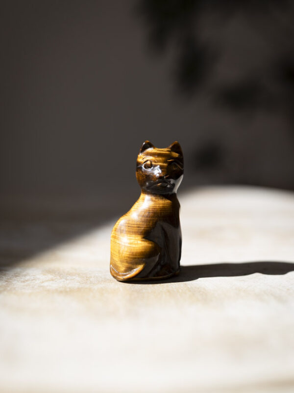 Kat i tigerøjekrystal til indre visdom, power, jordforbindelse og beskyttelse