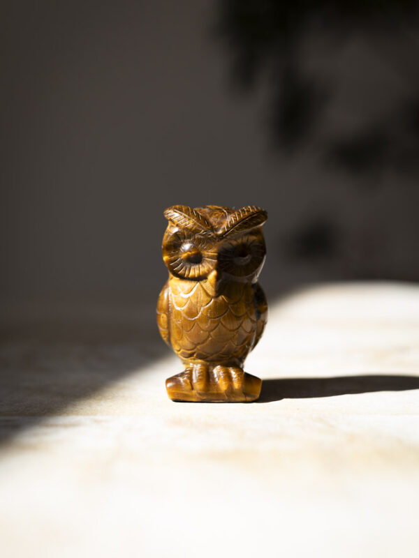 Ugle i tigerøjekrystal til indre visdom, power, jordforbindelse og beskyttelse